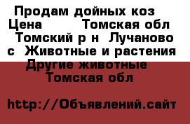 Продам дойных коз. › Цена ­ 10 - Томская обл., Томский р-н, Лучаново с. Животные и растения » Другие животные   . Томская обл.